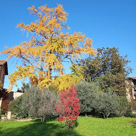 Baignade Devant La Maison ! 아파트 *