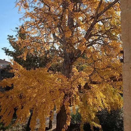 Baignade Devant La Maison ! *