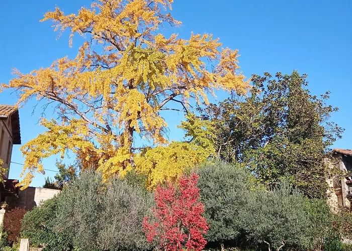Baignade Devant La Maison ! Apartamento *