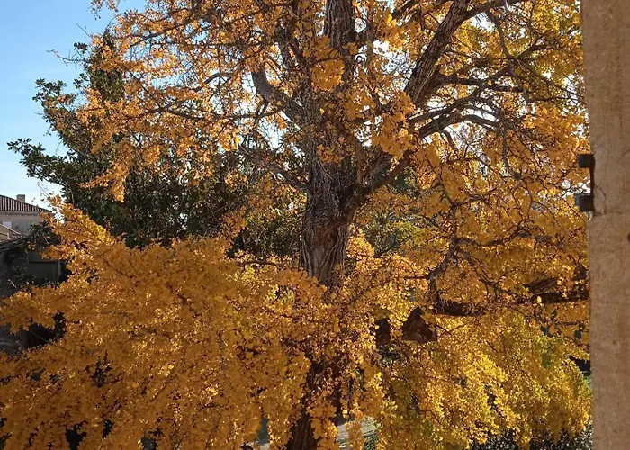 Baignade Devant La Maison ! *